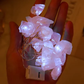 Crystal Fairy Dream Lights