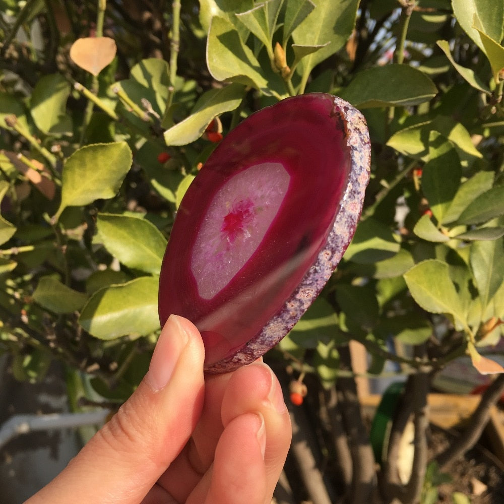 Red Agate Slice
